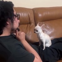 もう一度お手本を見せるパパ