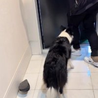 「もう行っちゃうの？」