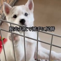 あえなく落下！！