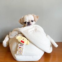 バッグから顔を出す犬