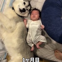 赤ちゃんの隣で寝転ぶ犬