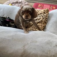 うなるペコちゃん