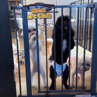 はるちゃん＆なつちゃんのお迎え5