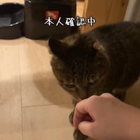 本人確認するナスキーちゃん