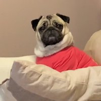 「まさか…病院に行くの？」
