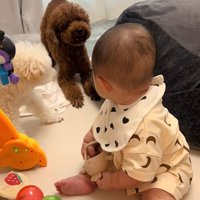 からあげ君に指導するぽてとちゃん