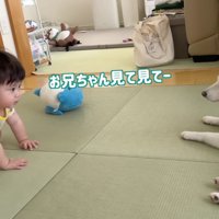 「お兄ちゃん、見てみて！」
