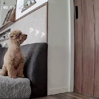 「もしかして…」