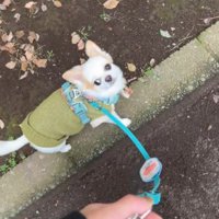 正解が分からない