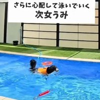 うみちゃんも救助へ