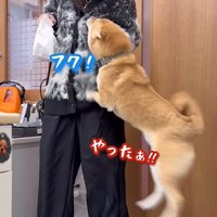 嬉しそうにピョンピョン♪