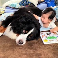 仲良く寄り添う姿が尊い♪