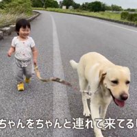 女の子を安全な場所へ誘導