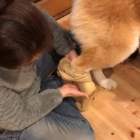 抜け毛対策の一環です