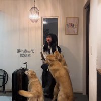 頭突きを繰り出してしまうほど♡