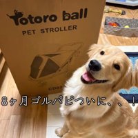 念願のカートをゲット♡
