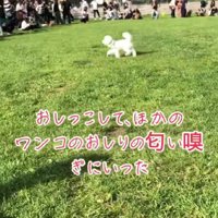 徐々にコースアウトして…