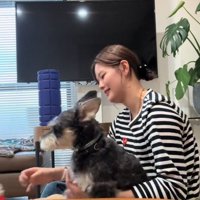 前足でぬいぐるみを吹き飛ばす犬