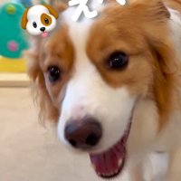 赤ちゃんを遊びに誘うまめ君⑩