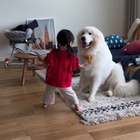 娘さんのライブが始まった♪