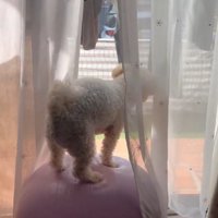 ボールの上に立ちました！