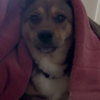 「もう…朝…？」