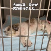 そのまま緊急手術に