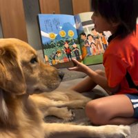 絵本の読み聞かせをしてくれる次男くん