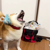 失敗することも♪