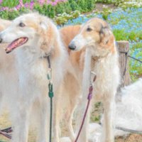 みんなで写真を撮ってみたら…