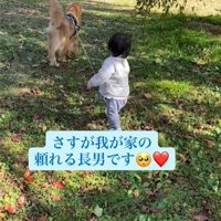 歩く男の子と犬2