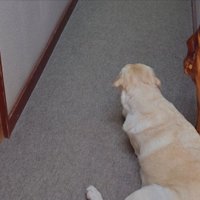 宿泊中