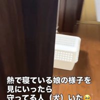 ママさんが様子を見に行ったら…