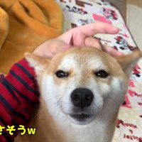 お部屋で仲良くまったり♪