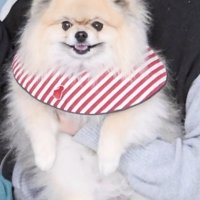 ママ