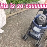 「とってもキュート！」