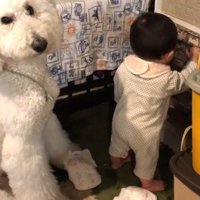 赤ちゃんのいたずら