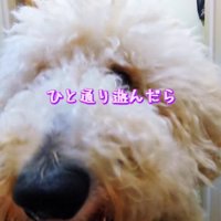 今度は遊び始めた！！