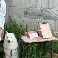 1年後に再撮影