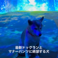 おまめちゃんの反応は…