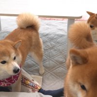凛ちゃんは勘違いして…