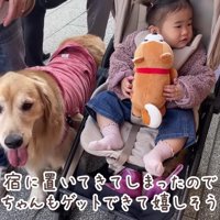 くじ引きで柴犬ゲット♪
