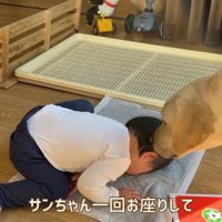 床に突っ伏したまま動きません