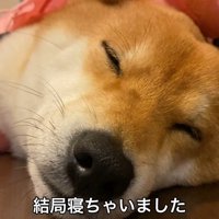睡魔に負けてしまいました♡