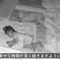 同じ寝姿ですやすや♡