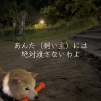 おもちゃのバットを咥える犬