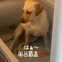 「風呂は最高だな～」