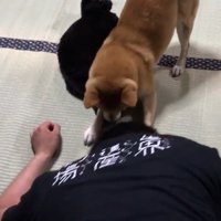 天くんを守っています！