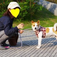 キリッ