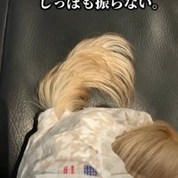 犬の尻尾